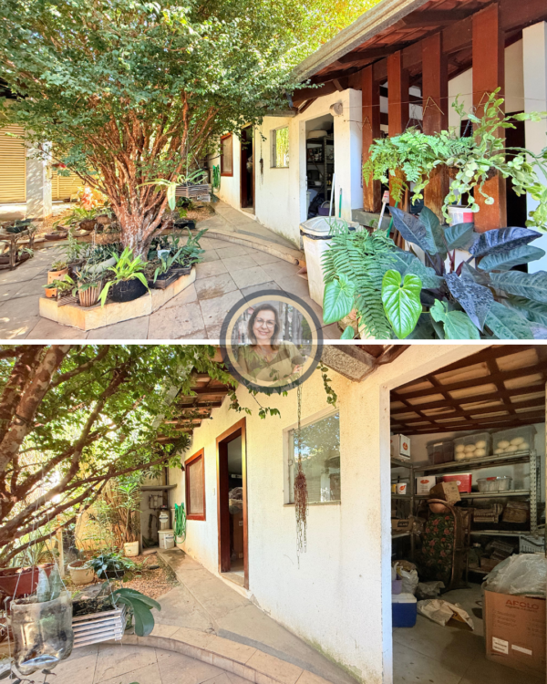 Casa à venda - Bairro: Centro - Image 17
